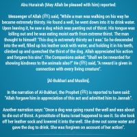 " Once a dog was going round the well and was about to die out of thirst. A prostitute of Banu Israel happened to see it.....